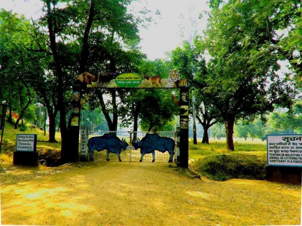 Ranchi - Betla - Netarhat